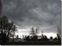 IMG_5220