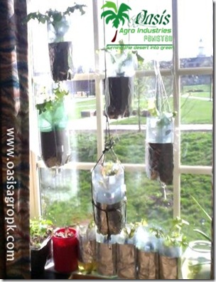 Hydroponics in Bottle 2