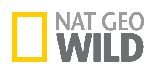National Geographic Logos Gallery