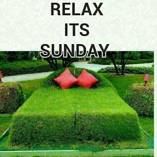 WhatsApp Happy Sunday