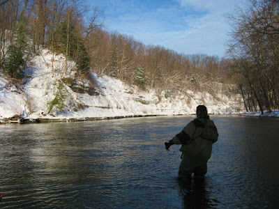 Steelhead Alley