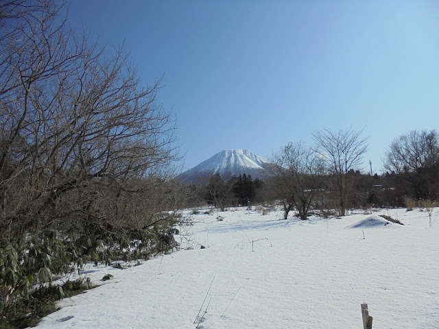 ペンション街山の手通りから見た美しい大山