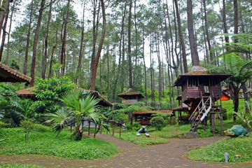 wisata jogja pantai parangtritis