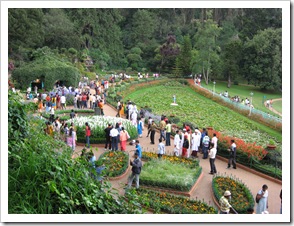 Ooty botanical garden italian garden