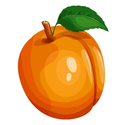 70+ Cartoon images of Apricot fruit