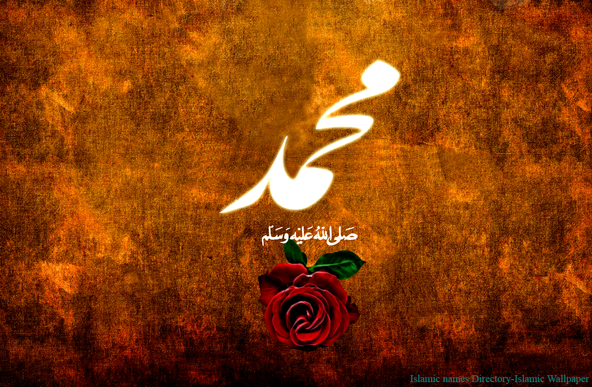 Beautiful Holly Quran Islamic Wallpaper | TheAllahsMiracles.