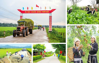 Ninh Thuận cần hơn 10.000 tỷ đồng để xây dựng nông thôn mới