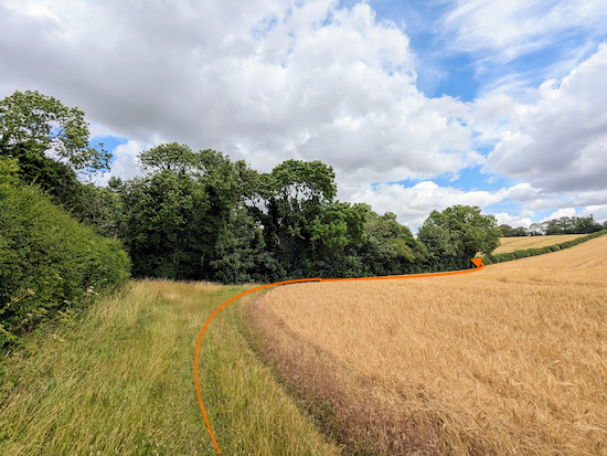 Follow Hexton footpath 2 around the edge of the field