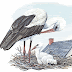 Taking the Path to Empathy: Killing the Inner Stork