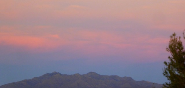 P1180668
