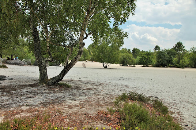 La plage de sable du Cul de Chien, Trois Pignons, Fontainebleau.