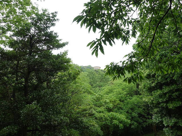 鳥取県西伯郡大山町妻木 鳥取県立むきばんだ史跡公園　弥生の森　遺構展示館