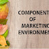 COMPONENTS OF MARKETING ENVIRONMENT | MACRO AND MICRO ENVIRONMENT OF MARKETING