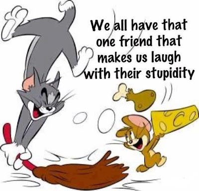 We all have that one friend that makes us laugh with their stupidity.
