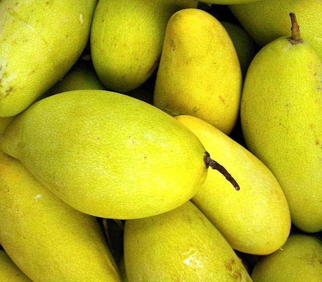 Mangoes for Pregnant Woman, pregnancy diet,what to eat during pregnancy,what to eat when pregnant,food for pregnant women,pregnant women diet,diet during pregnancy,nutrition during pregnancy,good food for pregnant women