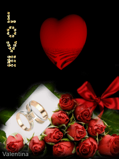 v.day -4