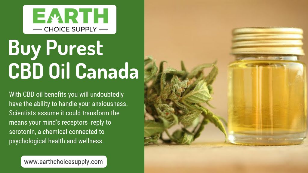 Buy Purest CBD Oil Canada