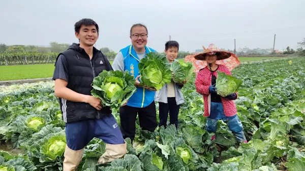 ▲楊曜聰醫師在清明連假第一天，帶領志工夥伴們下田採菜，並於今天上午舉辦「搶救高麗菜、傳遞社會愛 」活動。（記者林明佑攝）