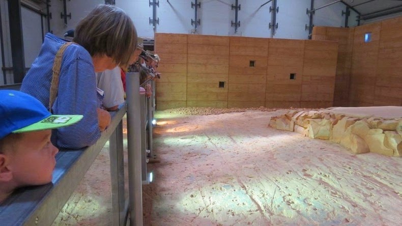 lark-quarry-dinosaur-trackways-4