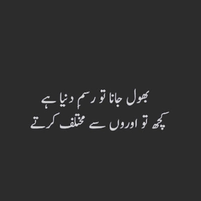 Meri diary se heart touching urdu poetry images 3