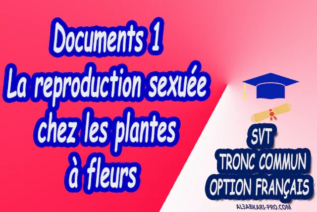 La reproduction sexuée chez les plantes à fleurs Sciences de la Vie et de la Terre svt biof Tronc commun biof Tronc commun sciences Tronc commun biof option française  Devoir de Semestre 1  Devoirs de 2ème Semestre  maroc  Exercices corrigés  Cours  résumés  devoirs corrigés  exercice corrigé Fiches pédagogiques Fiche pédagogique prof de soutien scolaire a domicile  cours gratuit  cours gratuit en ligne  cours particuliers  cours à domicile  soutien scolaire à domicile  les cours particuliers  cours de soutien  des cours de soutien  les cours de soutien  professeur de soutien scolaire  cours online  des cours de soutien scolaire  soutien pédagogique