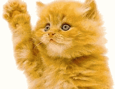 cat waving hi five