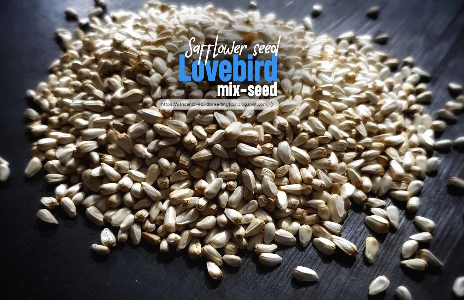 seed mix for African lovebirds