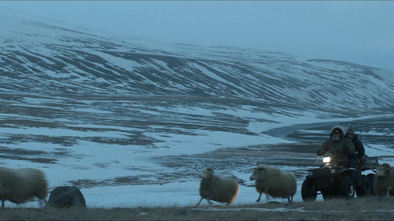 Rams (El valle de los carneros) 2015 descargar gratis pelicula