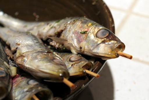 Grilled Sardines