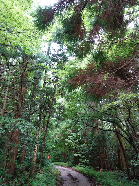 鳥取県西伯郡大山町宮内　孝霊山東登山口