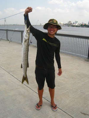 Barracuda also know as Saw Kun 沙君 or Ikan Kacang weighing 3kg plus Caught by Ah Ling At Woodland Jetty.