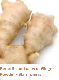 Benefits and uses of Ginger Powder - Skin Toners