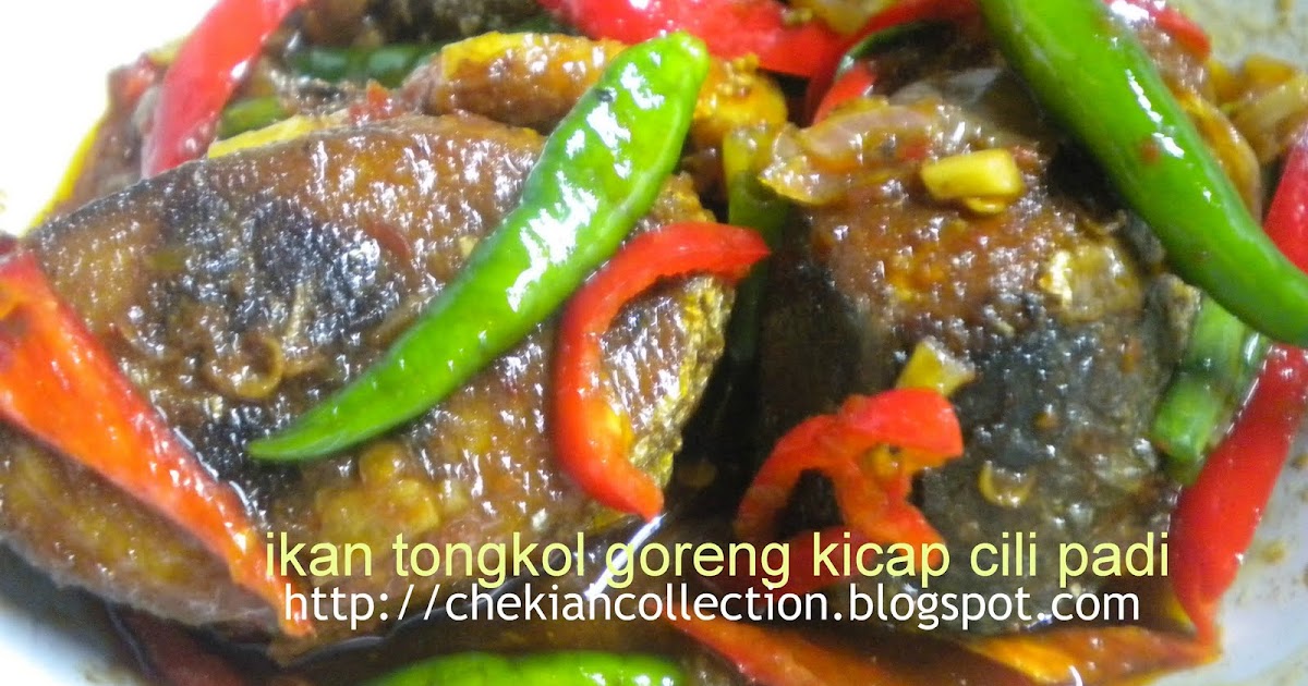 Resepi Ikan Tongkol Masak Kicap Azie Kitchen - copd blog r