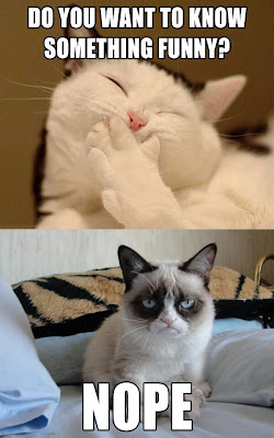 Grumpy Cat Funny