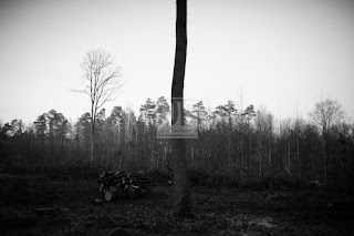 Czarno-biała fotografia