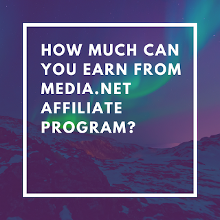 how much can you earn from media net affiliate program