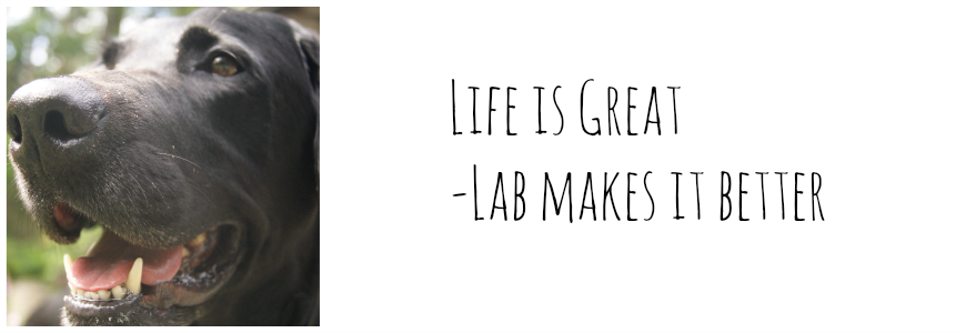 Life is Great - Lab Makes it Better