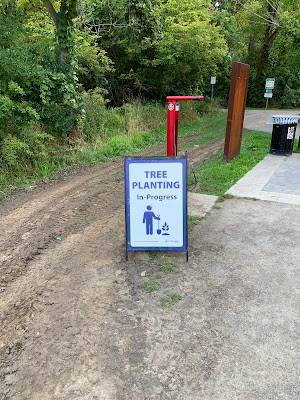 Tree Planting in Progress