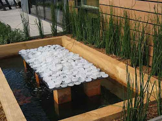 fish pond design for minimalis home