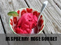 http://www.youmeouiblog.com/2014/06/summer-series-raspberry-rose-sorbet.html