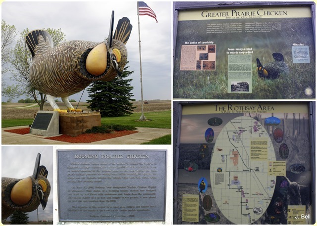 73 Tamarac NWR, 201310