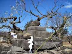 左右口中道の道祖神