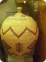DSCN9560