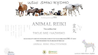 ANIMAL REIKI KURS