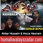 http://www.humaliwalayazadar.com/2016/10/akbar-hussain-rizvi-irteza-hasnain.html