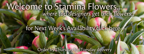 Stamina Flowers - Fresh from the Farm