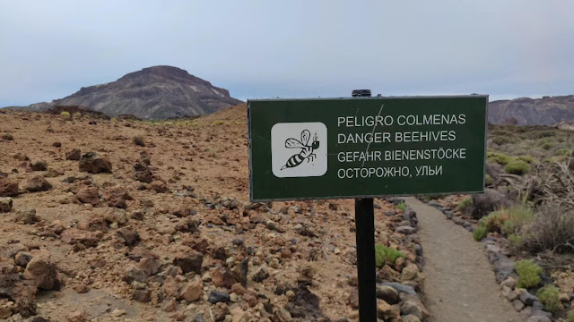 Explorando la maravilla natural del Parque Nacional del Teide