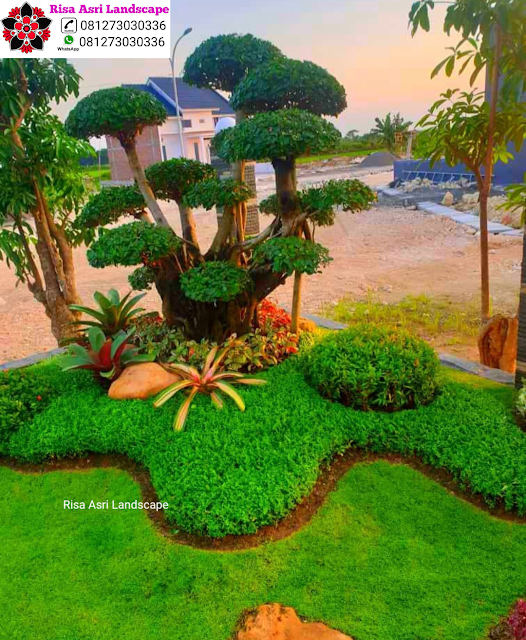 Risa Asri Landscape - Landscape Taman Minimalis, Taman Atap RoofTop Garden, Taman Kering Tropis, Taman Bali