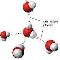 ikatan hidrogen pada molekul air