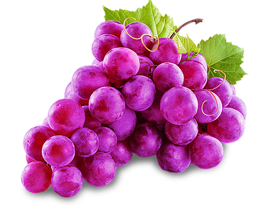 Uvas | Grapes